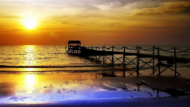 星空官方：室内保养健身操