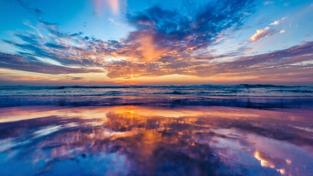 星空集团：乒乓球台被断了怎么修