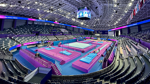 延伸大自然之美，共享绿色新时代——屋顶草坪绿化特点揭秘